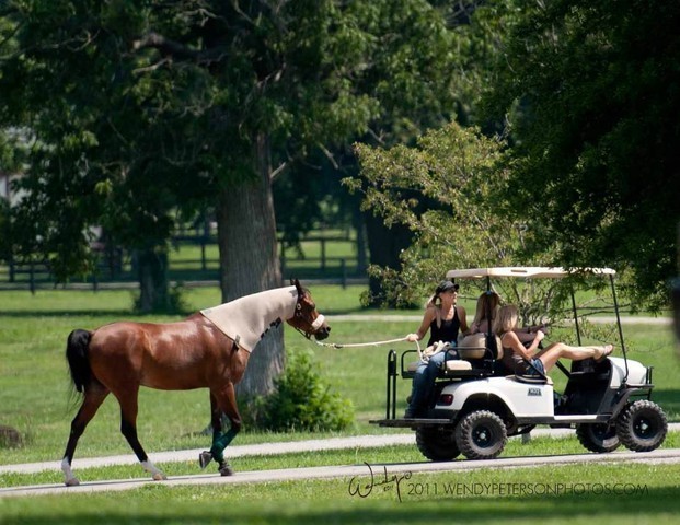 Region 14 Championships, Lexington, Kentucky 2011