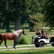 Region 14 Championships, Lexington, Kentucky 2011