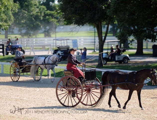 Region 14 Championships, Lexington, Kentucky 2011
