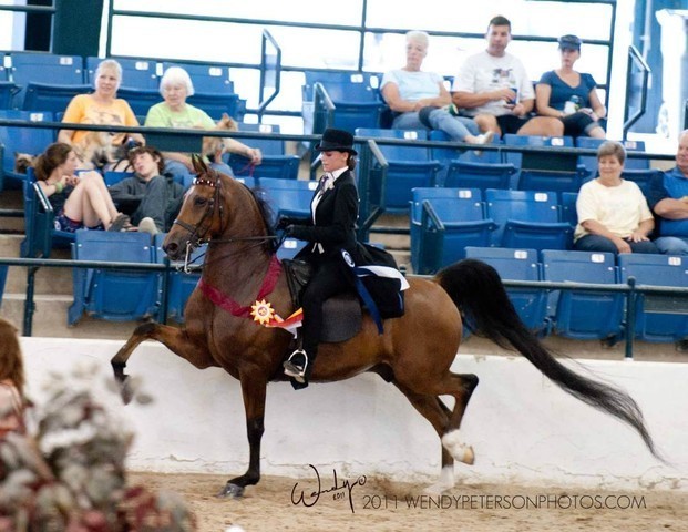 Region 14 Championships, Lexington, Kentucky 2011
