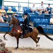 Region 14 Championships, Lexington, Kentucky 2011