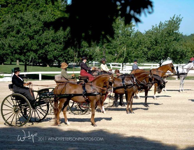 Region 14 Championships, Lexington, Kentucky 2011