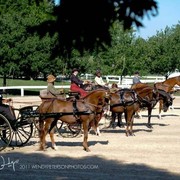 Region 14 Championships, Lexington, Kentucky 2011