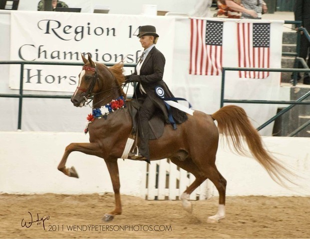 Region 14 Championships, Lexington, Kentucky 2011