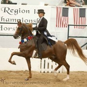 Region 14 Championships, Lexington, Kentucky 2011