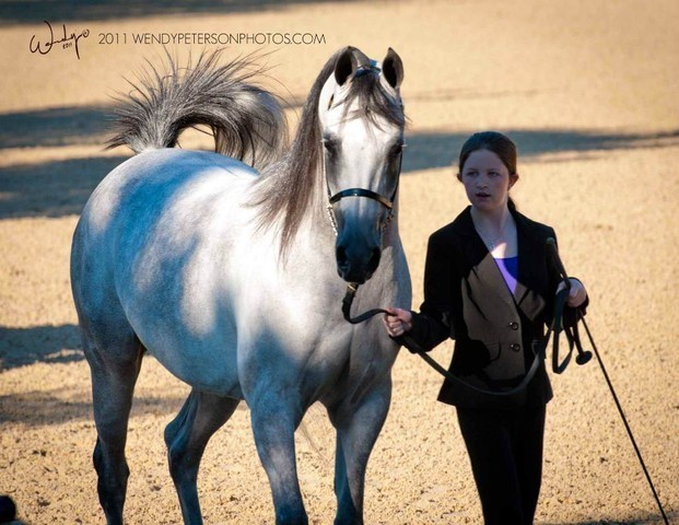 Region 14 Championships, Lexington, Kentucky 2011