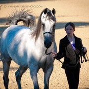 Region 14 Championships, Lexington, Kentucky 2011