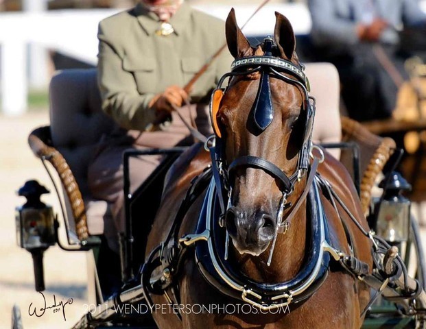 Region 14 Championships, Lexington, Kentucky 2011