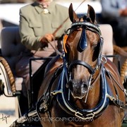 Region 14 Championships, Lexington, Kentucky 2011