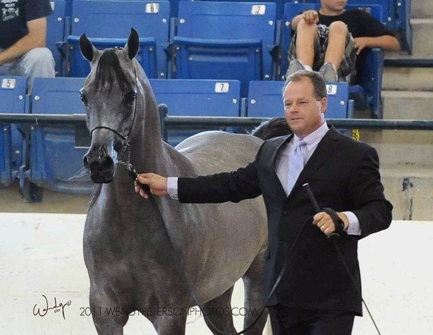Region 14 Championships, Lexington, Kentucky 2011