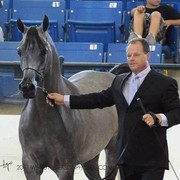 Region 14 Championships, Lexington, Kentucky 2011