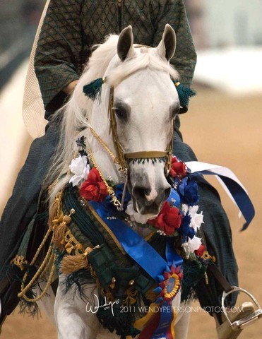 Region 14 Championships, Lexington, Kentucky 2011
