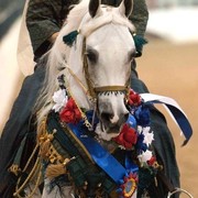 Region 14 Championships, Lexington, Kentucky 2011