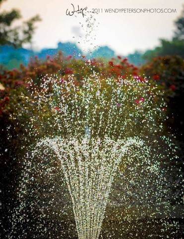 Region 14 Championships, Lexington, Kentucky 2011