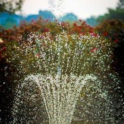 Region 14 Championships, Lexington, Kentucky 2011