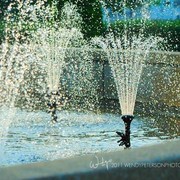 Region 14 Championships, Lexington, Kentucky 2011