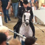 Region 14 Championships, Lexington, Kentucky 2011