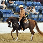 Region 14 Championships, Lexington, Kentucky 2011
