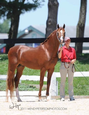 Region 14 Championships, Lexington, Kentucky 2011