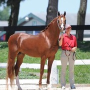 Region 14 Championships, Lexington, Kentucky 2011