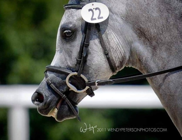 Region 14 Championships, Lexington, Kentucky 2011