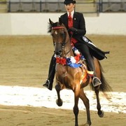 Region 14 Championships, Lexington, Kentucky 2011