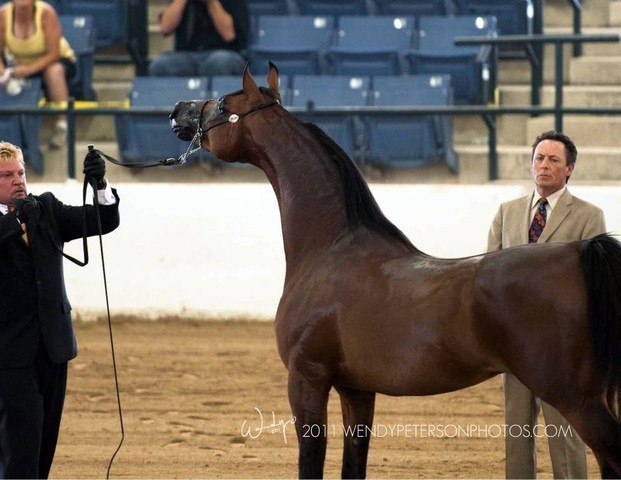 Region 14 Championships, Lexington, Kentucky 2011