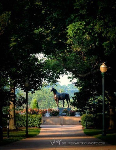 Region 14 Championships, Lexington, Kentucky 2011