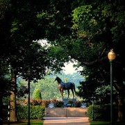 Region 14 Championships, Lexington, Kentucky 2011