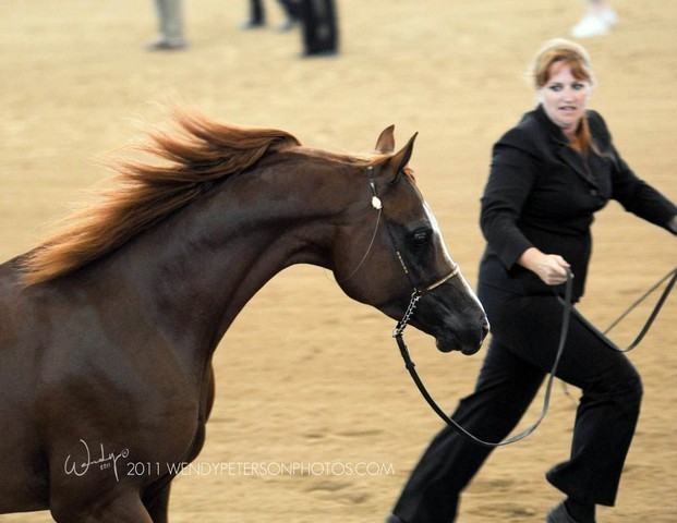 Region 14 Championships, Lexington, Kentucky 2011