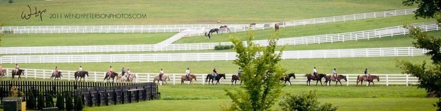 Region 14 Championships, Lexington, Kentucky 2011