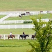 Region 14 Championships, Lexington, Kentucky 2011