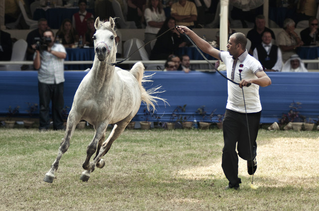 Tagweed - Tagweed (TEE X GAD ALLAH)