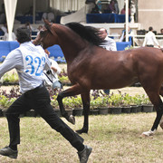 13th International Championship - El Zahraa, Egypt