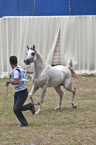 13th International Championship - El Zahraa, Egypt