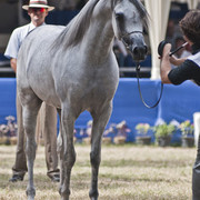 13th International Championship - El Zahraa, Egypt