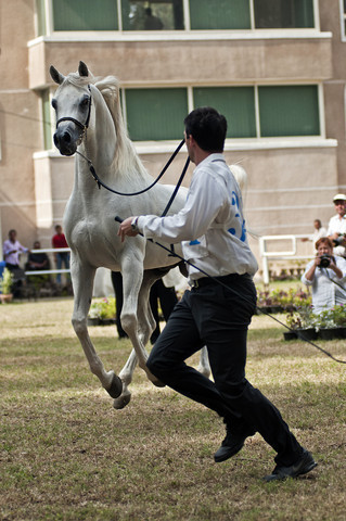 13th International Championship - El Zahraa, Egypt
