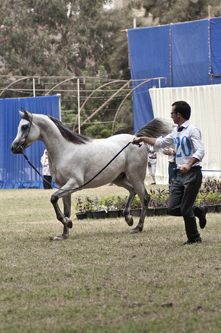 13th International Championship - El Zahraa, Egypt