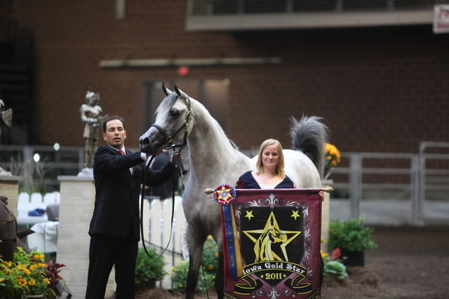 Iowa Gold Star 2011
