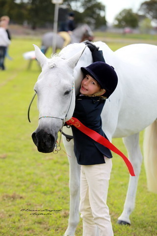 NSW Arabian State Titles - Sydney Australia