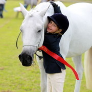 NSW Arabian State Titles - Sydney Australia