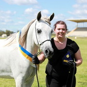 NSW Arabian State Titles - Sydney Australia