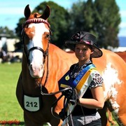 NSW Arabian State Titles - Sydney Australia
