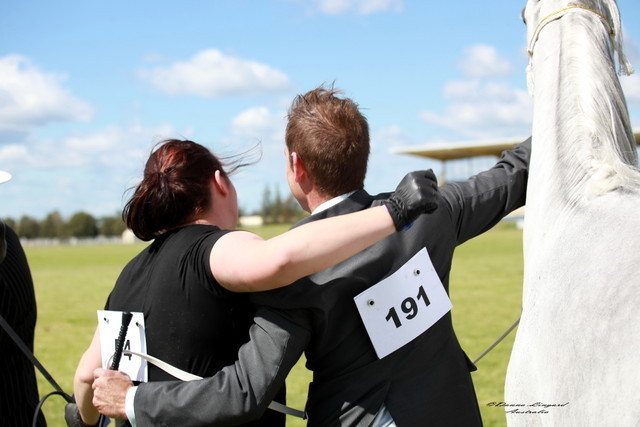 NSW Arabian State Titles - Sydney Australia