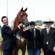 NSW Arabian State Titles - Sydney Australia