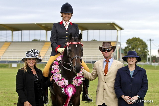 NSW Arabian State Titles - Sydney Australia