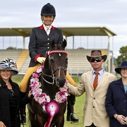 NSW Arabian State Titles - Sydney Australia