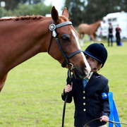 NSW Arabian State Titles - Sydney Australia