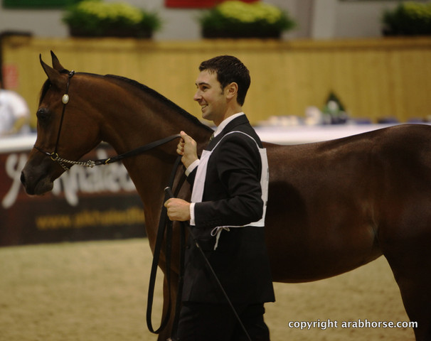 2011 All Nations Cup - Aachen, Germany 