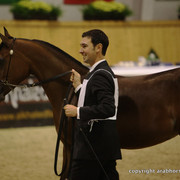 2011 All Nations Cup - Aachen, Germany 
